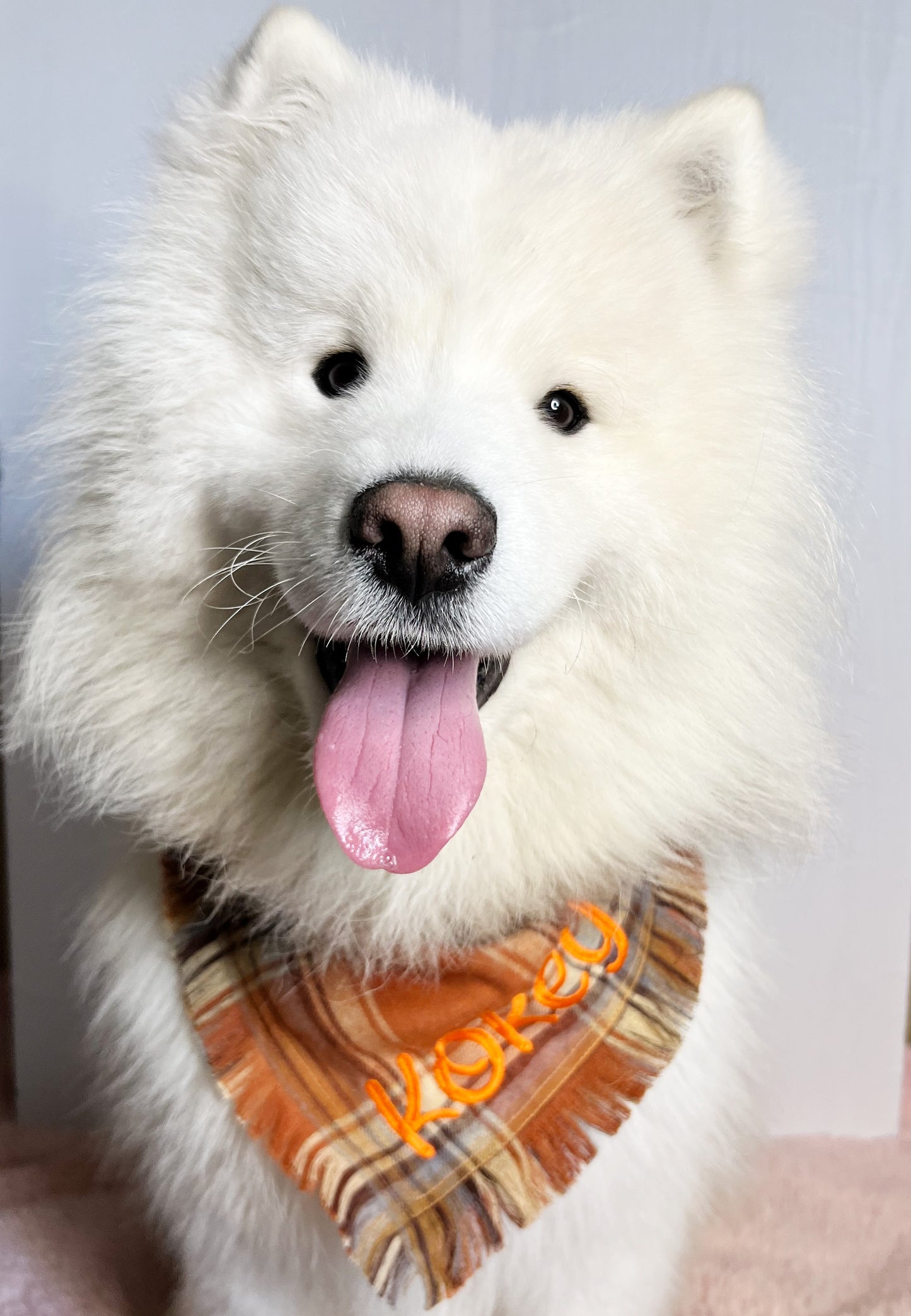 Personalized dog bandana with Tassel